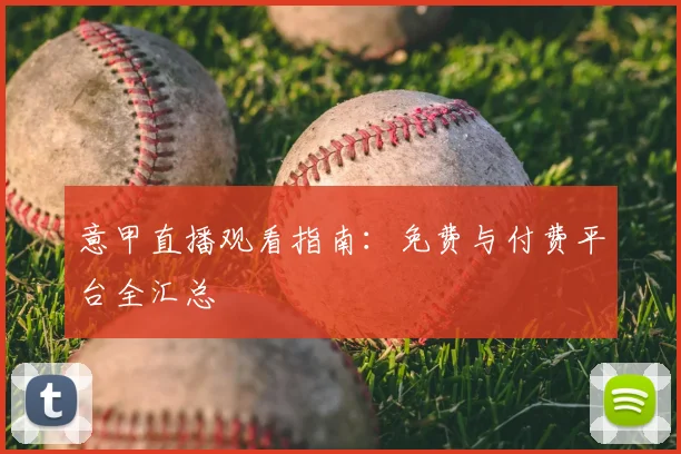 MK体育官网入口